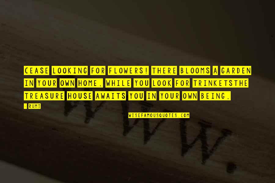Sagelink Quotes By Rumi: Cease looking for flowers! There blooms a garden Sagelink Quotes By Rumi: Cease looking for flowers! There blooms a garden