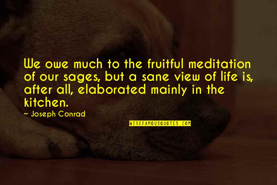 Sages Quotes By Joseph Conrad: We owe much to the fruitful meditation of