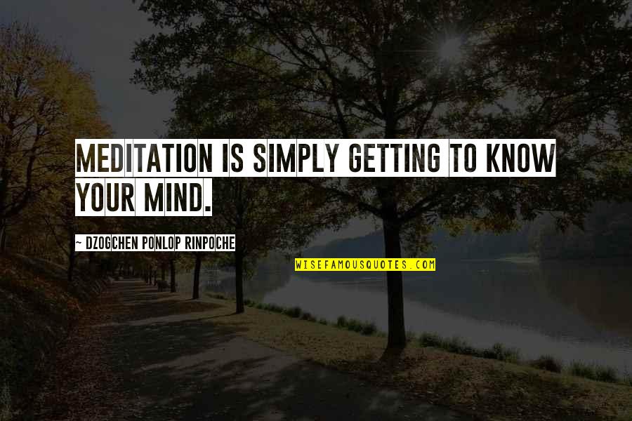 Saghir Aslam Quotes By Dzogchen Ponlop Rinpoche: Meditation is simply getting to know your mind.
