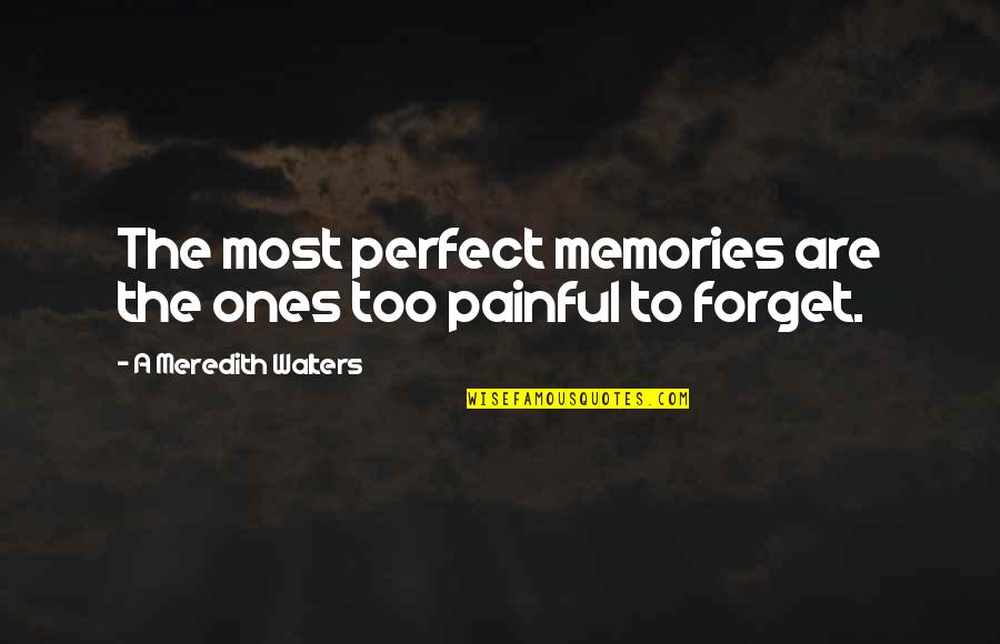 Sagient Quotes By A Meredith Walters: The most perfect memories are the ones too