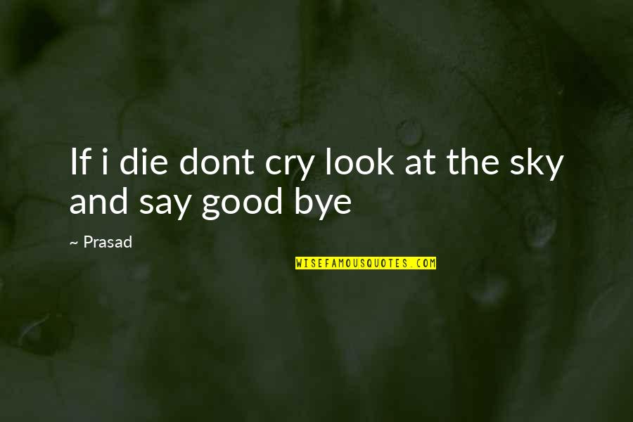 Sagittariidae Quotes By Prasad: If i die dont cry look at the