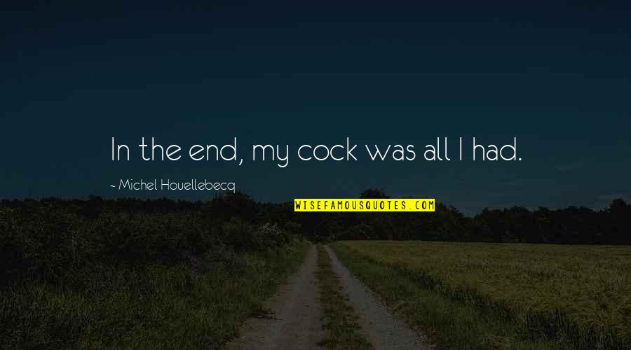 Sagittarius Love Relationships Quotes By Michel Houellebecq: In the end, my cock was all I
