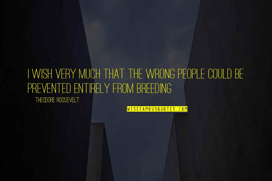 Sagmeister Book Quotes By Theodore Roosevelt: I wish very much that the wrong people