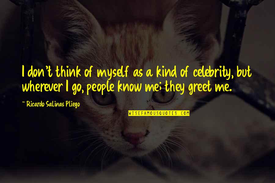 Sagorijevanje Quotes By Ricardo Salinas Pliego: I don't think of myself as a kind