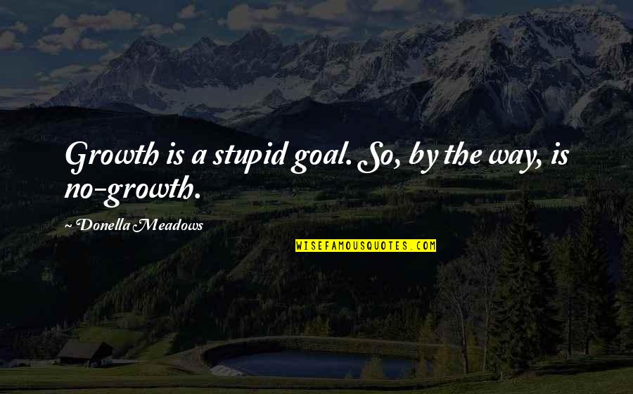 Saguna Quotes By Donella Meadows: Growth is a stupid goal. So, by the