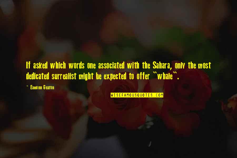Sahara's Quotes By Eamonn Gearon: If asked which words one associated with the