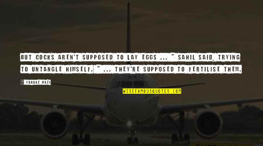Sahil Quotes By Faraaz Kazi: But cocks aren't supposed to lay eggs ... Sahil Quotes By Faraaz Kazi: But cocks aren't supposed to lay eggs ...