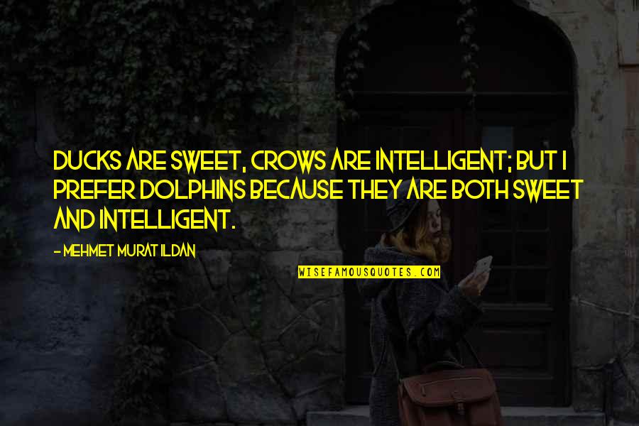 Sahinler I Giyim Quotes By Mehmet Murat Ildan: Ducks are sweet, crows are intelligent; but I