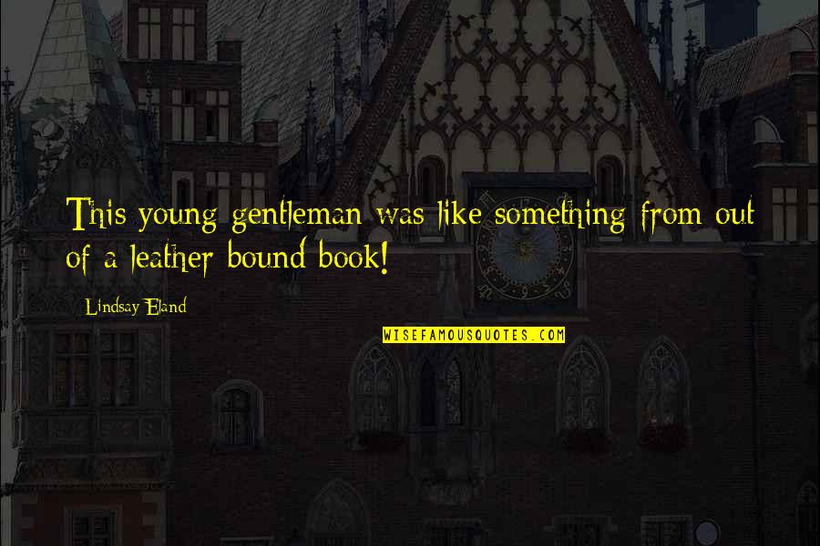 Sai Test Quotes By Lindsay Eland: This young gentleman was like something from out