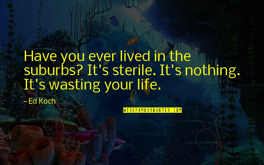 Saias Africanas Quotes By Ed Koch: Have you ever lived in the suburbs? It's