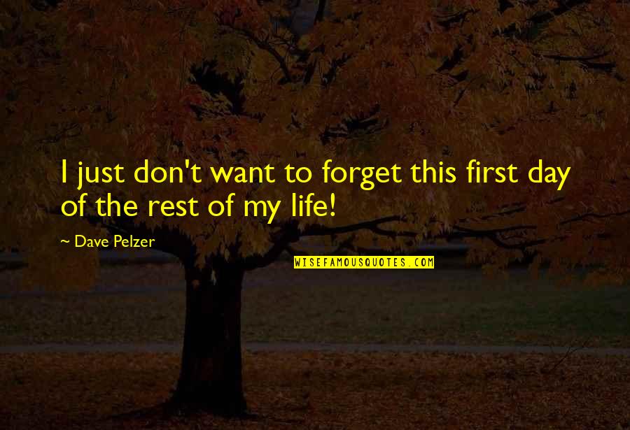 Saicheat Quotes By Dave Pelzer: I just don't want to forget this first