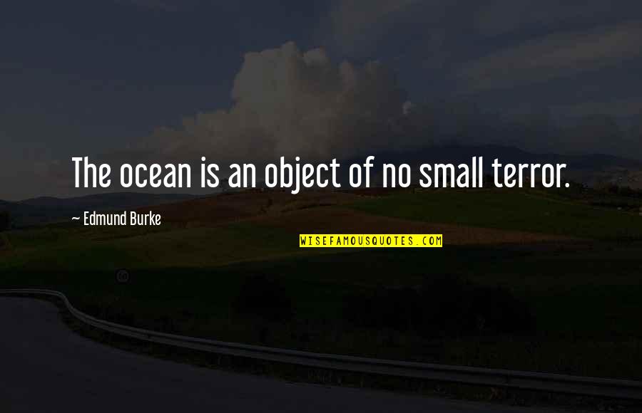 Sailing The Ocean Quotes By Edmund Burke: The ocean is an object of no small