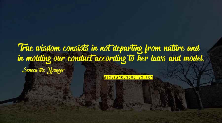 Sailor Moon Inspirational Quotes By Seneca The Younger: True wisdom consists in not departing from nature