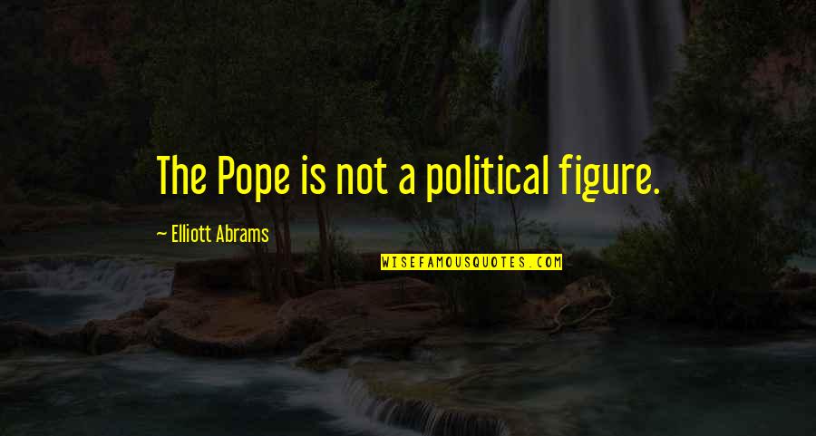 Sailplane Kits Quotes By Elliott Abrams: The Pope is not a political figure. Sailplane Kits Quotes By Elliott Abrams: The Pope is not a political figure.