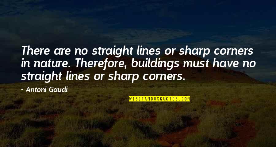 Sainath Songs Quotes By Antoni Gaudi: There are no straight lines or sharp corners