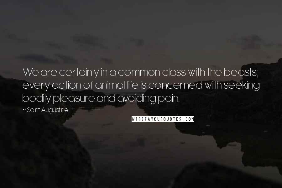 Saint Augustine quotes: We are certainly in a common class with the beasts; every action of animal life is concerned with seeking bodily pleasure and avoiding pain.