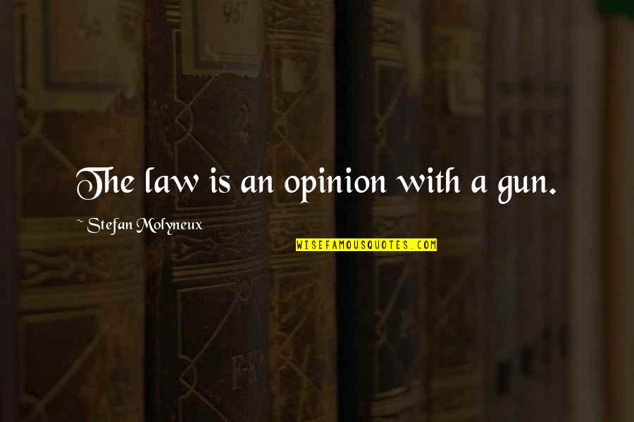 Saint David Quotes By Stefan Molyneux: The law is an opinion with a gun. Saint David Quotes By Stefan Molyneux: The law is an opinion with a gun.