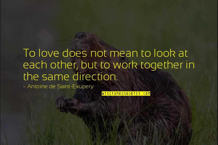 Saint Exupery Quotes By Antoine De Saint-Exupery: To love does not mean to look at