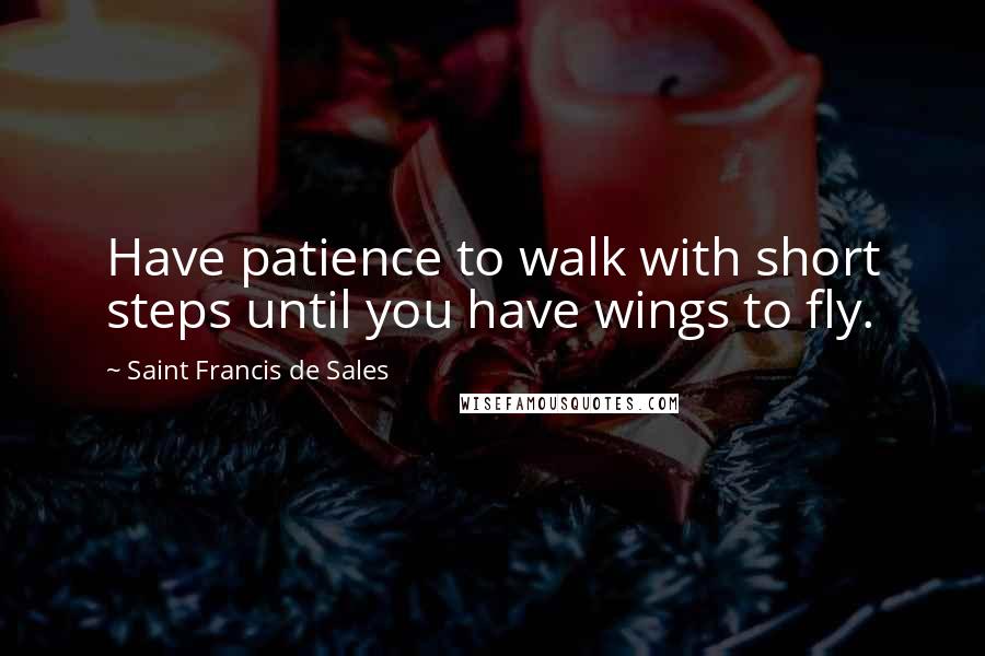Saint Francis De Sales quotes: Have patience to walk with short steps until you have wings to fly.