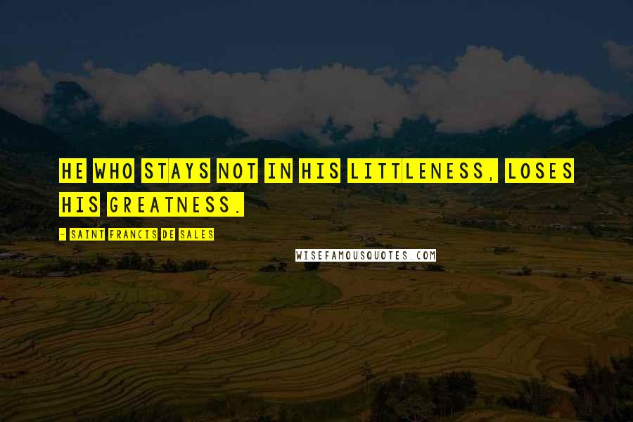 Saint Francis De Sales quotes: He who stays not in his littleness, loses his greatness.