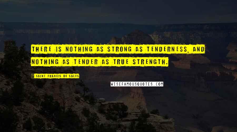 Saint Francis De Sales quotes: There is nothing as strong as tenderness, And nothing as tender as true strength.