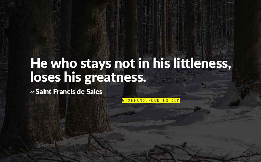 Saint Francis Quotes By Saint Francis De Sales: He who stays not in his littleness, loses