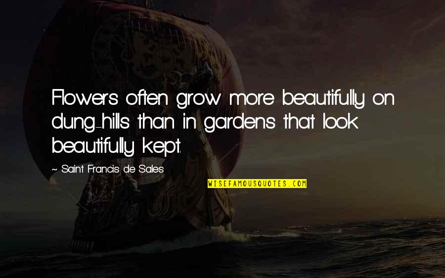 Saint Francis Quotes By Saint Francis De Sales: Flowers often grow more beautifully on dung-hills than