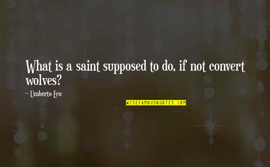 Saint Francis Quotes By Umberto Eco: What is a saint supposed to do, if