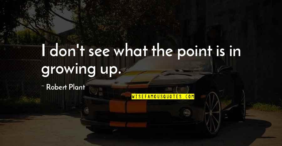 Saint Francis Xavier Cabrini Quotes By Robert Plant: I don't see what the point is in Saint Francis Xavier Cabrini Quotes By Robert Plant: I don't see what the point is in