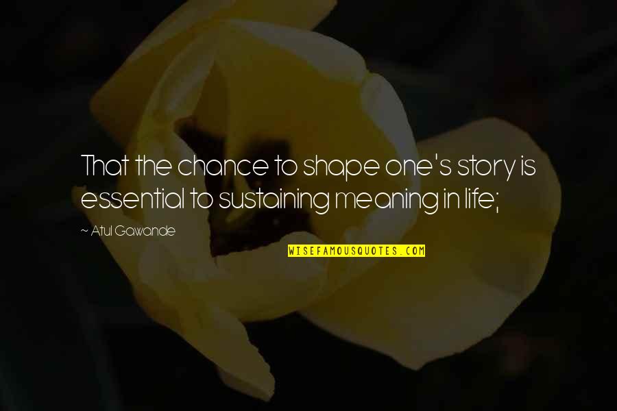 Saint Ignatius Of Laconi Quotes By Atul Gawande: That the chance to shape one's story is