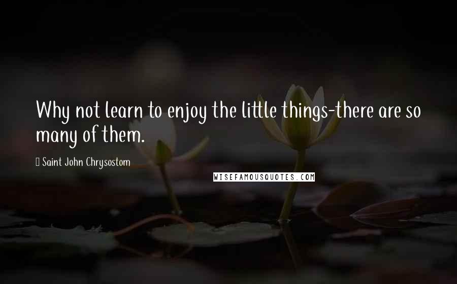 Saint John Chrysostom quotes: Why not learn to enjoy the little things-there are so many of them.