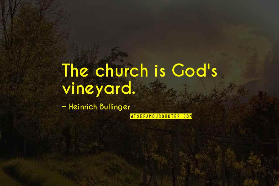 Saint Luigi Orione Quotes By Heinrich Bullinger: The church is God's vineyard.