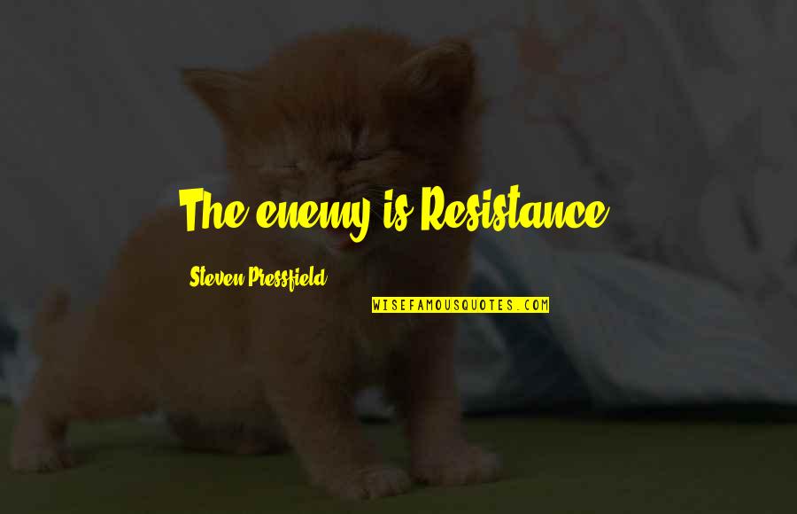 Saint Monica Quotes By Steven Pressfield: The enemy is Resistance.