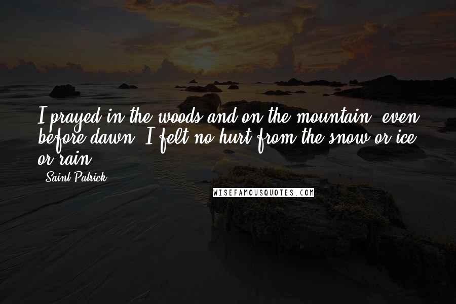 Saint Patrick quotes: I prayed in the woods and on the mountain, even before dawn. I felt no hurt from the snow or ice or rain.
