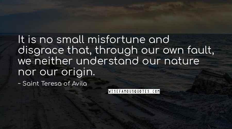 Saint Teresa Of Avila quotes: It is no small misfortune and disgrace that, through our own fault, we neither understand our nature nor our origin.