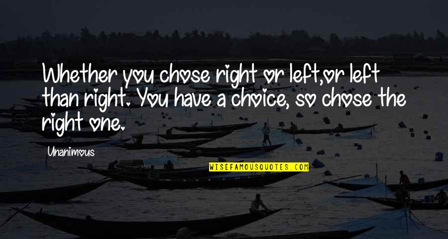 Saisir Vervoegen Quotes By Unanimous: Whether you chose right or left,or left than Saisir Vervoegen Quotes By Unanimous: Whether you chose right or left,or left than