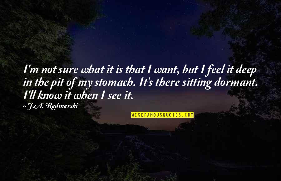 Sakantha Quotes By J.A. Redmerski: I'm not sure what it is that I Sakantha Quotes By J.A. Redmerski: I'm not sure what it is that I