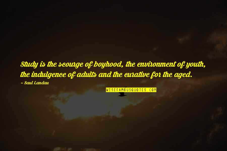 Sakara Food Quotes By Saul Landau: Study is the scourge of boyhood, the environment Sakara Food Quotes By Saul Landau: Study is the scourge of boyhood, the environment