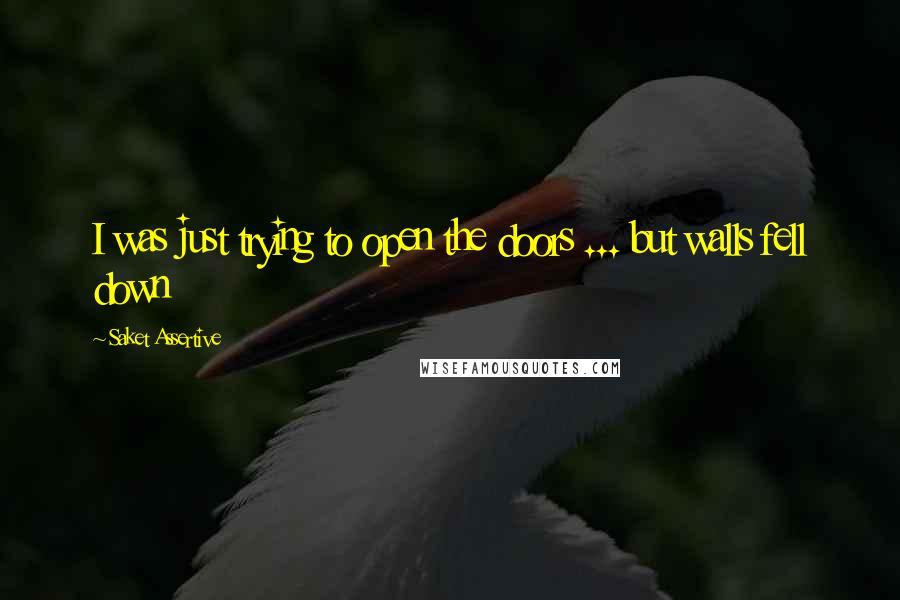 Saket Assertive quotes: I was just trying to open the doors ... but walls fell down