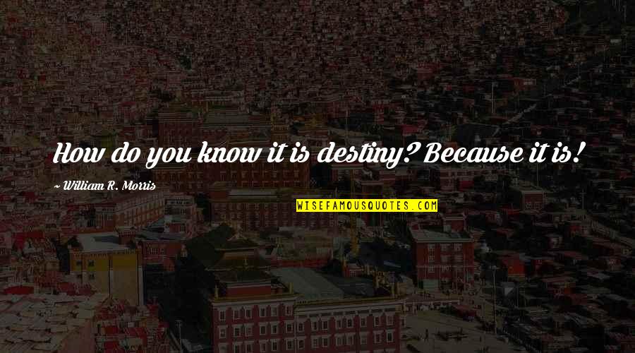 Saki Nikaido Quotes By William R. Morris: How do you know it is destiny? Because Saki Nikaido Quotes By William R. Morris: How do you know it is destiny? Because