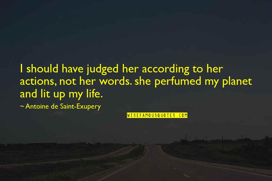 Sakta Vi Quotes By Antoine De Saint-Exupery: I should have judged her according to her