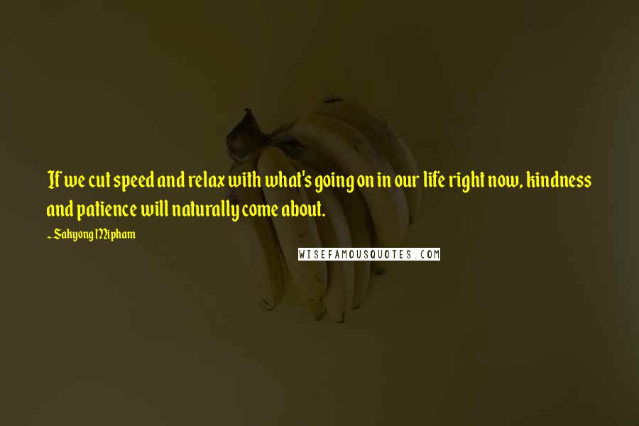 Sakyong Mipham quotes: If we cut speed and relax with what's going on in our life right now, kindness and patience will naturally come about.