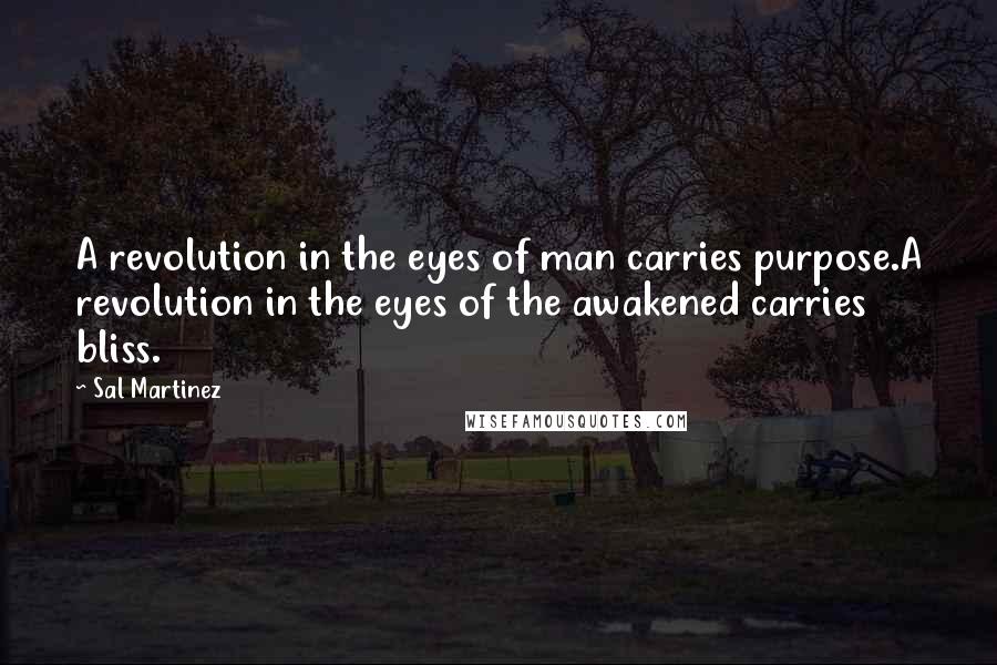 Sal Martinez quotes: A revolution in the eyes of man carries purpose.A revolution in the eyes of the awakened carries bliss.