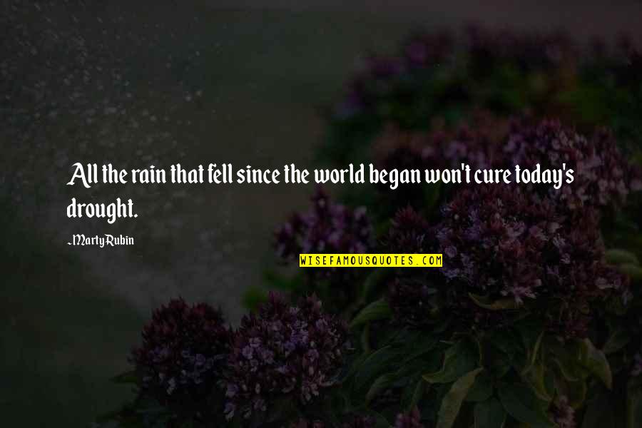 Salad Decoration Quotes By Marty Rubin: All the rain that fell since the world