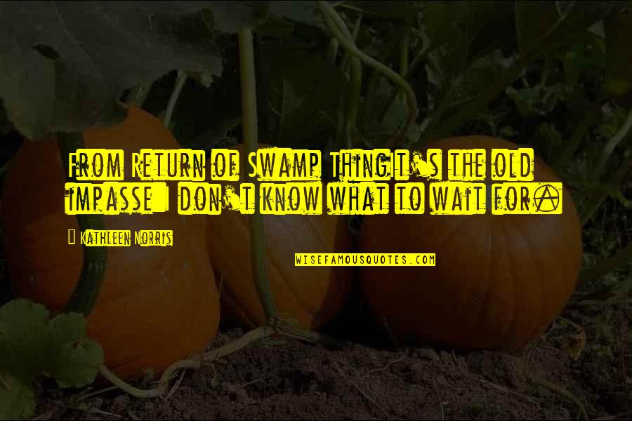 Salamandastron Redwall Quotes By Kathleen Norris: From Return of Swamp ThingIt's the old impasse:I
