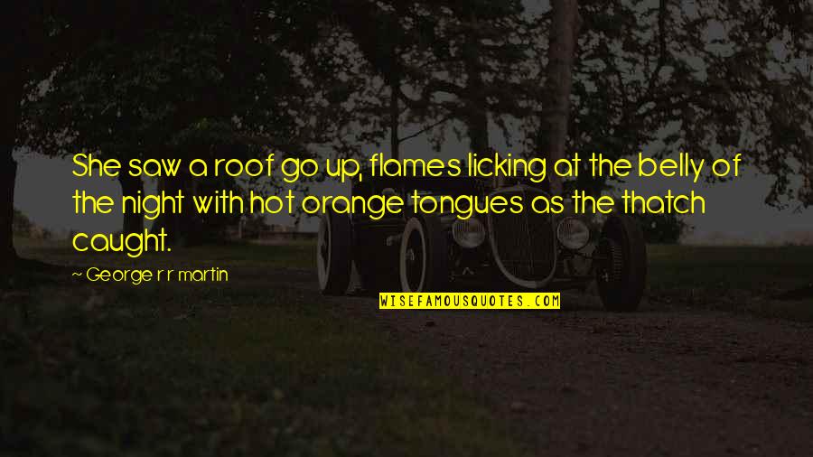 Salamida Chicken Quotes By George R R Martin: She saw a roof go up, flames licking Salamida Chicken Quotes By George R R Martin: She saw a roof go up, flames licking