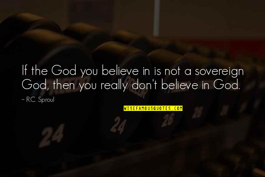 Salamin 420 Quotes By R.C. Sproul: If the God you believe in is not