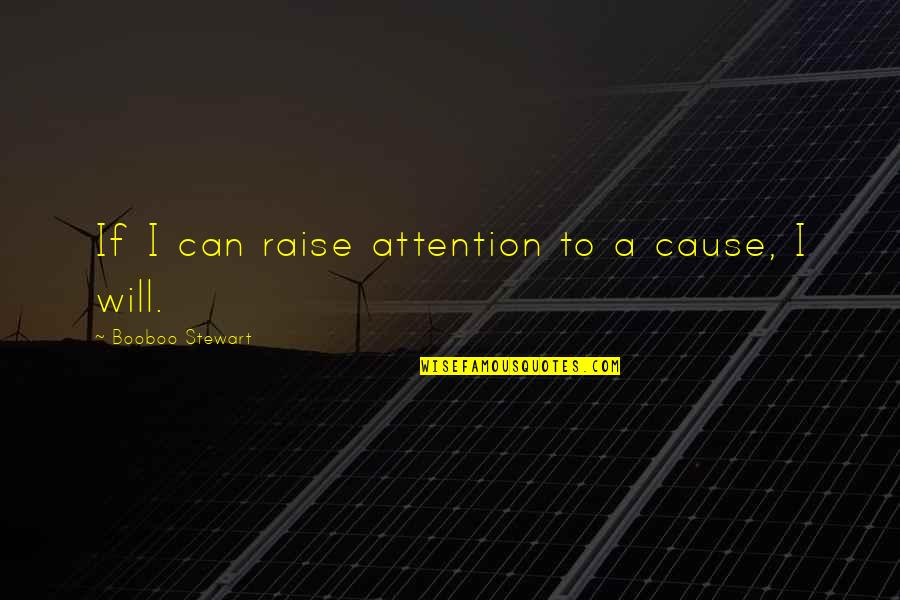 Salaris Onderwijs Quotes By Booboo Stewart: If I can raise attention to a cause,