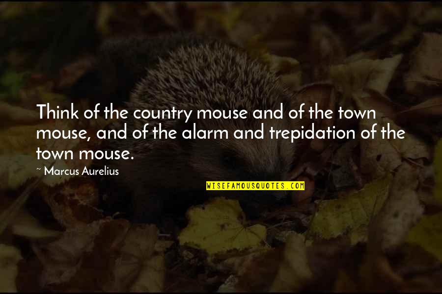 Salary Deduction Quotes By Marcus Aurelius: Think of the country mouse and of the Salary Deduction Quotes By Marcus Aurelius: Think of the country mouse and of the