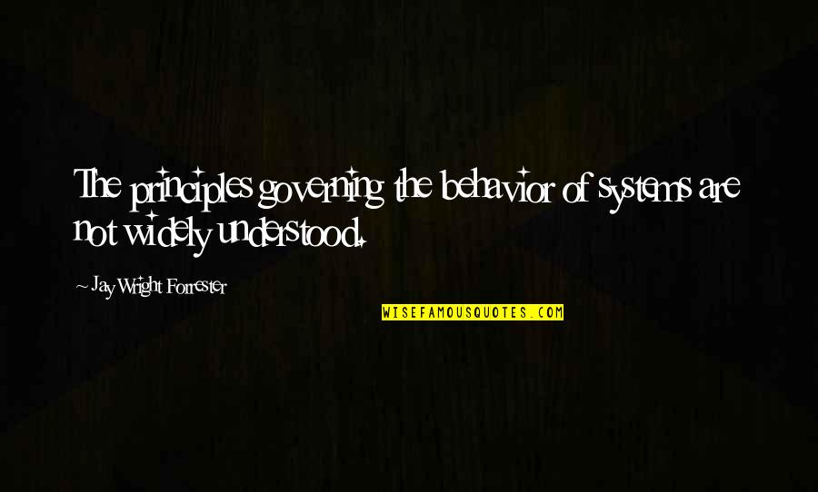 Salathiel Lightner Quotes By Jay Wright Forrester: The principles governing the behavior of systems are